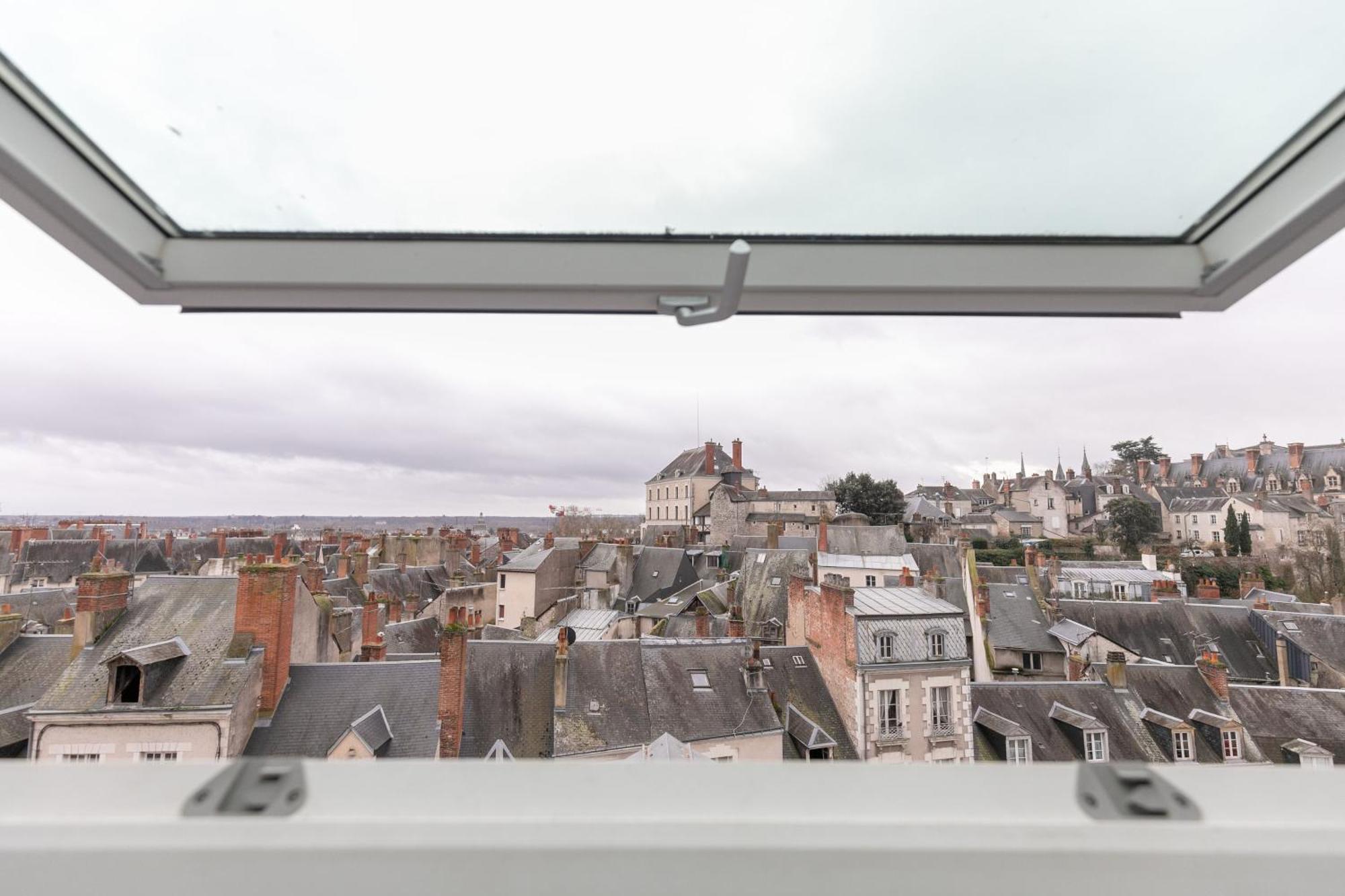 Le Nid De Saint Honore - Sur Les Toits De Blois Exterior photo